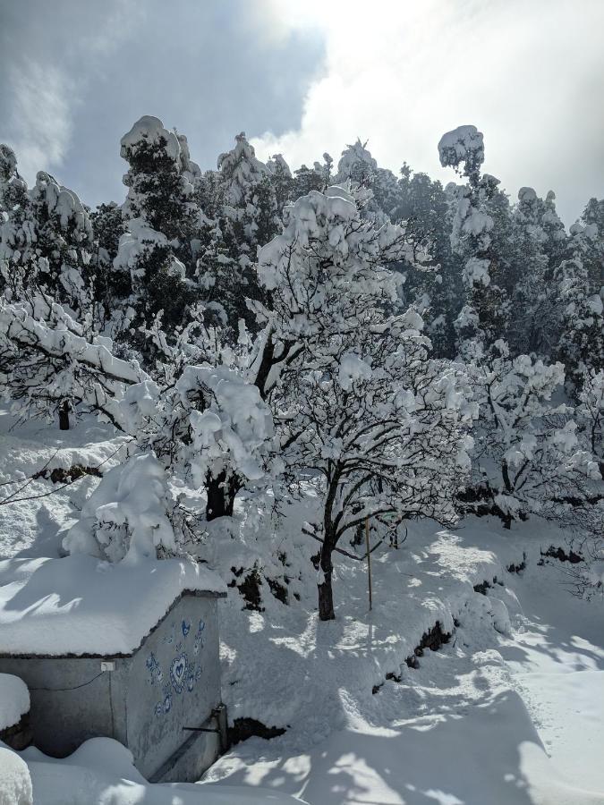 Namastay Himalayas, Kanatal Dış mekan fotoğraf
