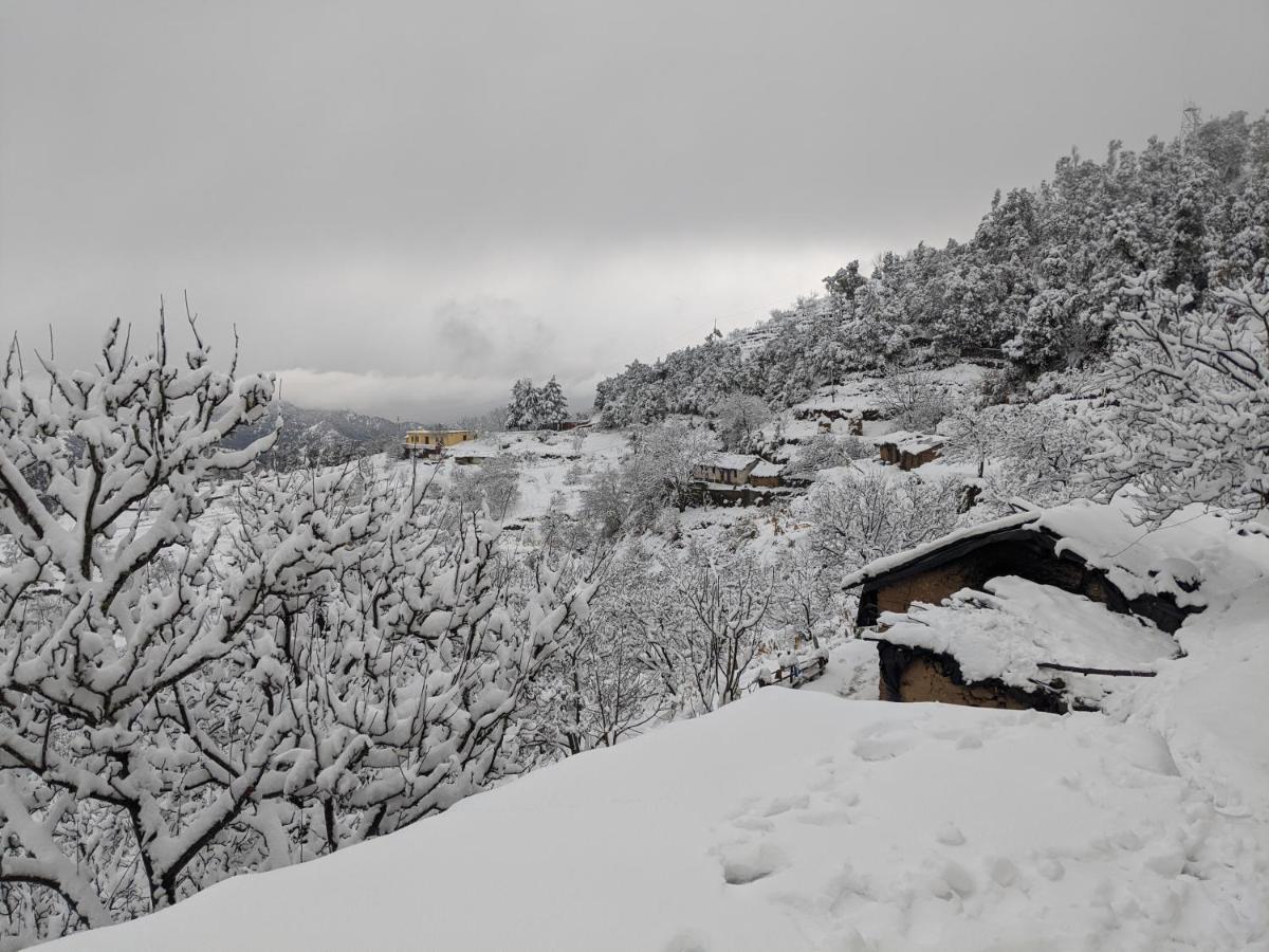 Namastay Himalayas, Kanatal Dış mekan fotoğraf