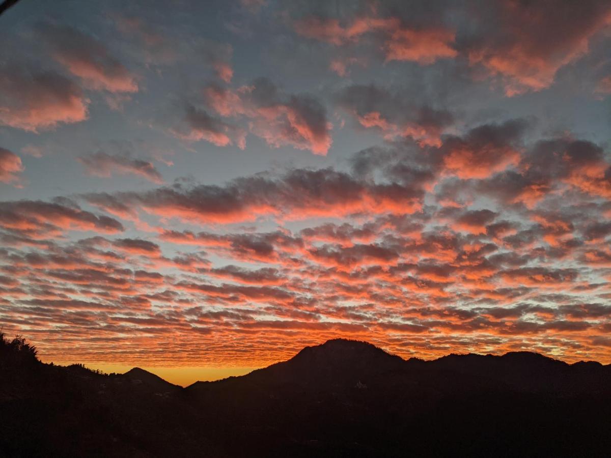 Namastay Himalayas, Kanatal Dış mekan fotoğraf