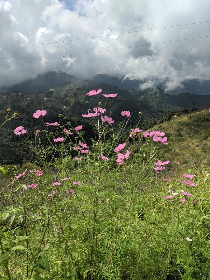 Namastay Himalayas, Kanatal Dış mekan fotoğraf