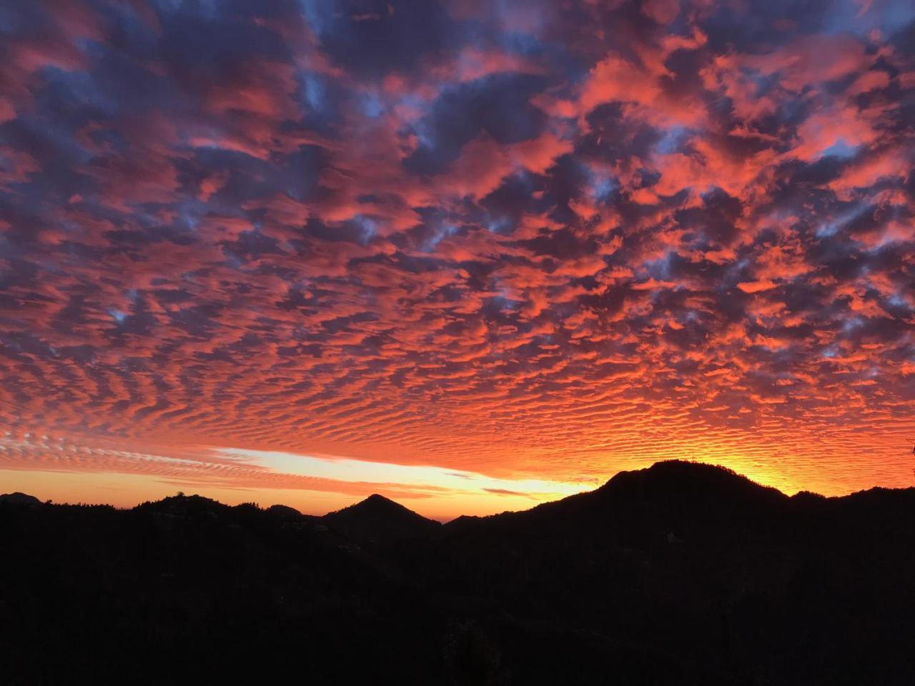 Namastay Himalayas, Kanatal Dış mekan fotoğraf