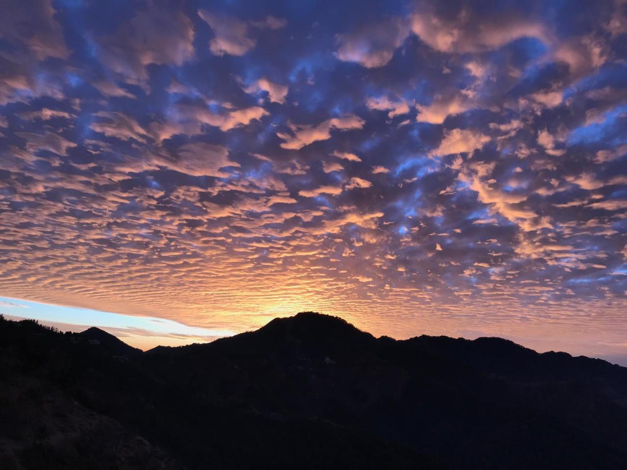 Namastay Himalayas, Kanatal Dış mekan fotoğraf